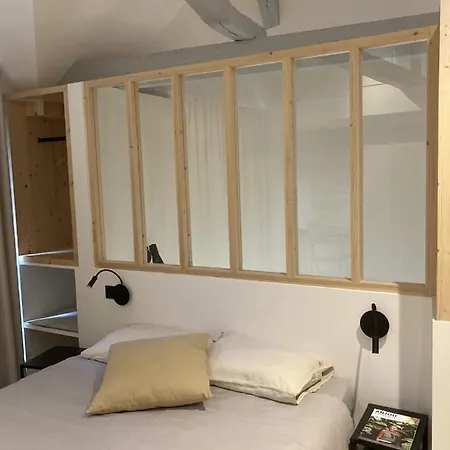 Appart hôtel La Maison Du Cocher - Indépendante Climatisée En Hypercentre - Lit Queen Size Angers