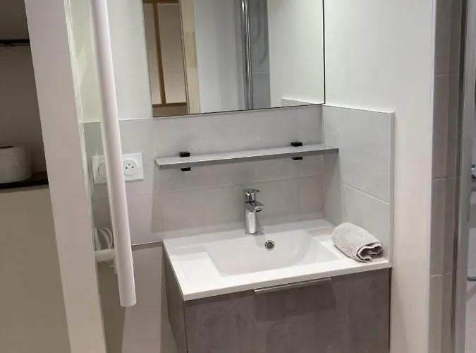 La Maison Du Cocher - Independante Climatisee En Hypercentre - Lit Queen Size