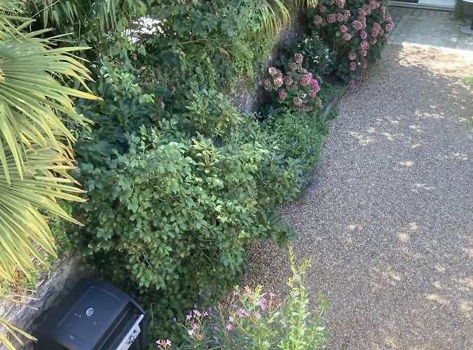 La Maison Du Cocher - Independante Climatisee En Hypercentre - Lit Queen Size Apart Otel Angers